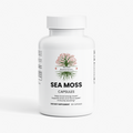 Sea Moss